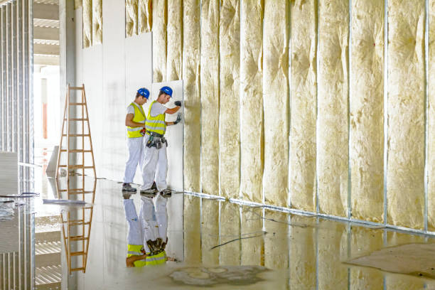 Best Commercial Insulation Contractor  in Steelton, PA